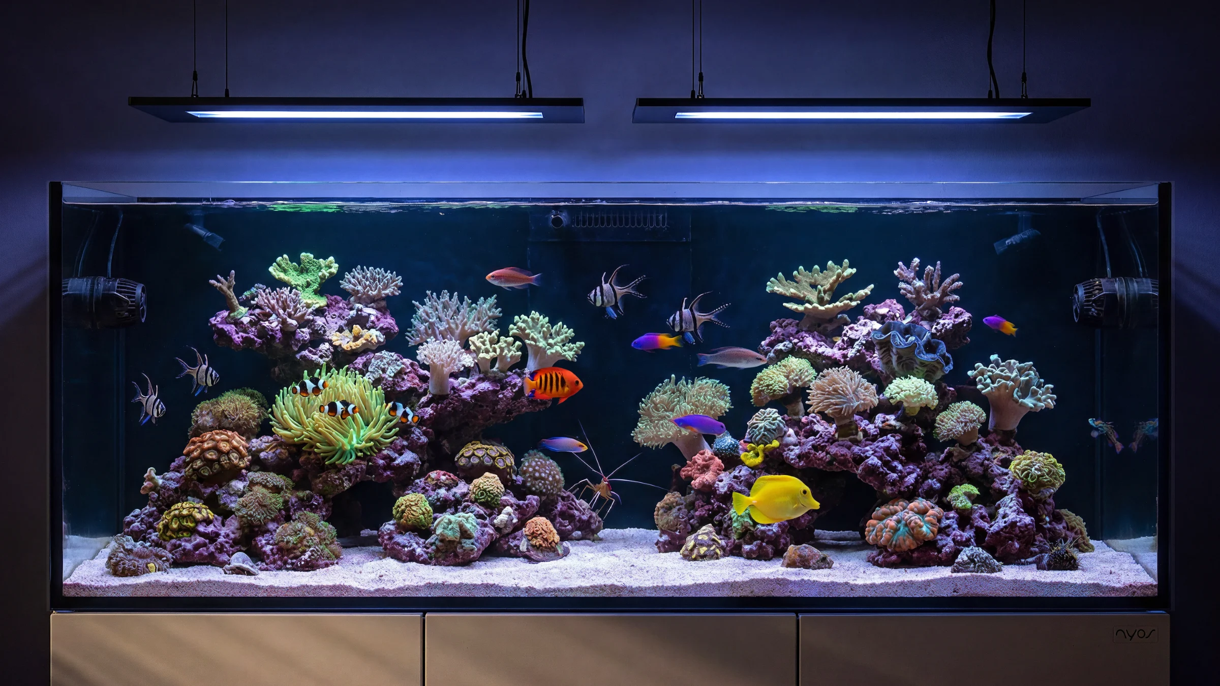 A mature mixed reef aquarium glowing in a dim room, packed with colorful corals, anemones, clownfish, tangs, and a clean sand bed.
