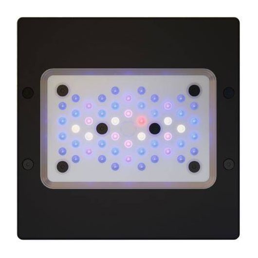 EcoTech Radion XR15 G6 Blue