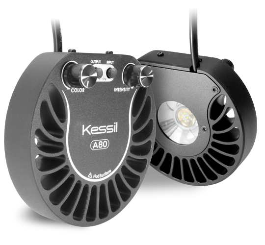Kessil A80 Tuna Blue