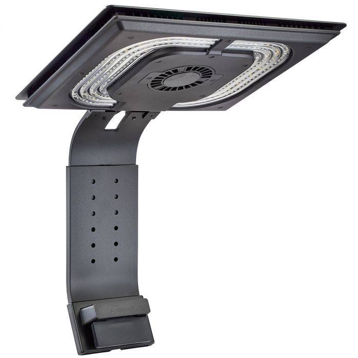 Maxspect Ethereal Infinite E8-230