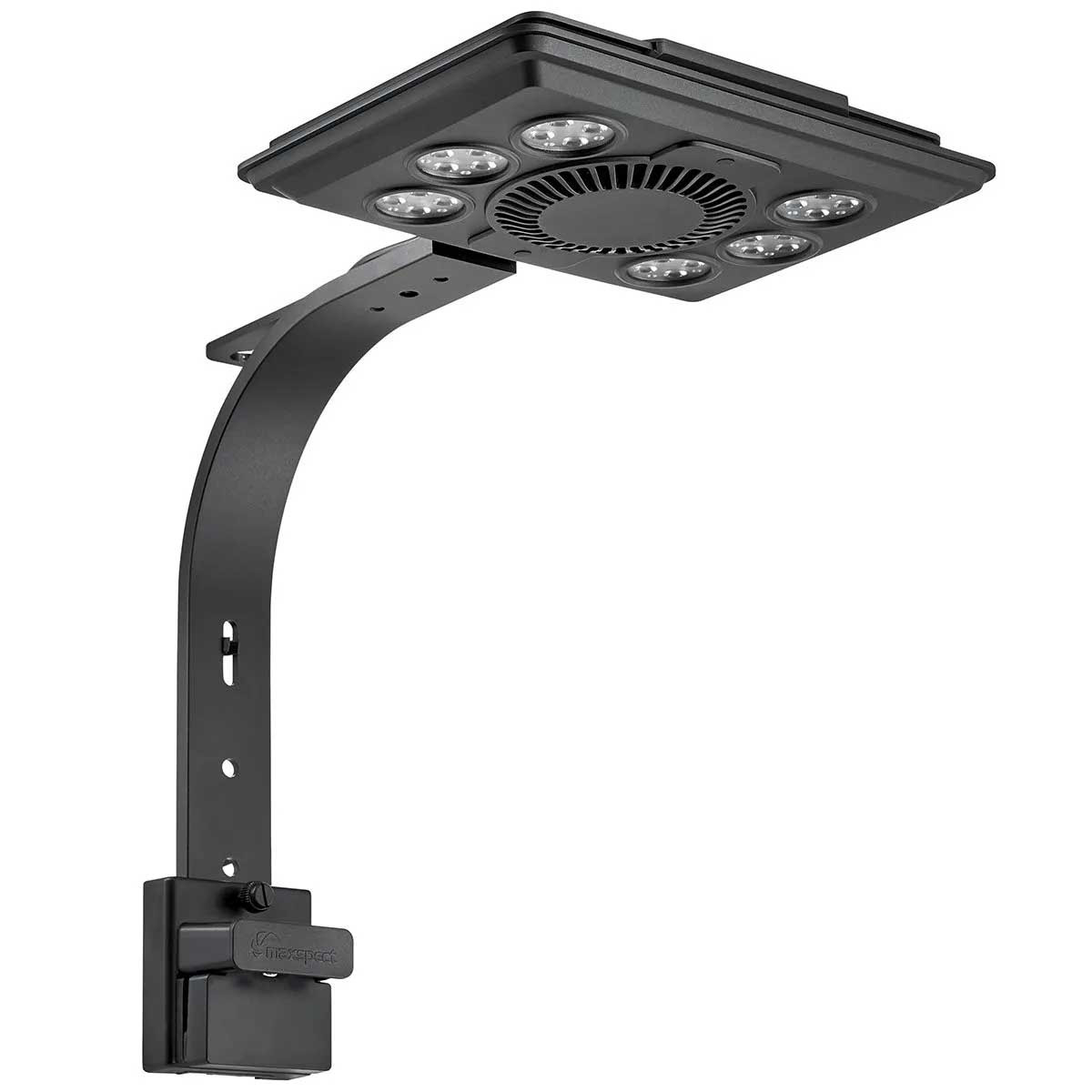 Maxspect Jump MJ-L260