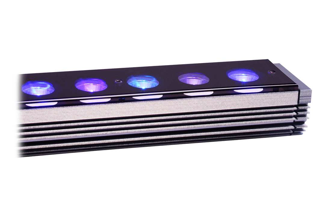 Orphek OR4 iCon Blue Plus 60