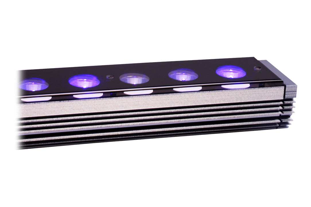 Orphek OR4 iCon UV/Violet 60