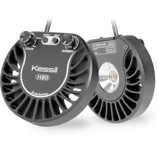 Kessil H80 Tuna Flora