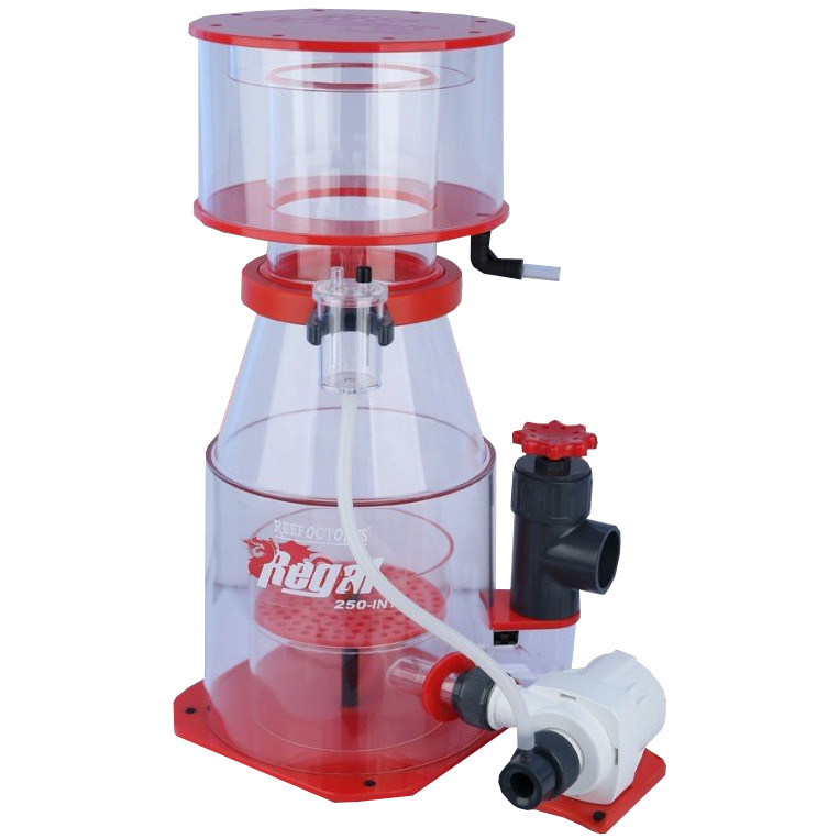 Reef Octopus Regal 250INT