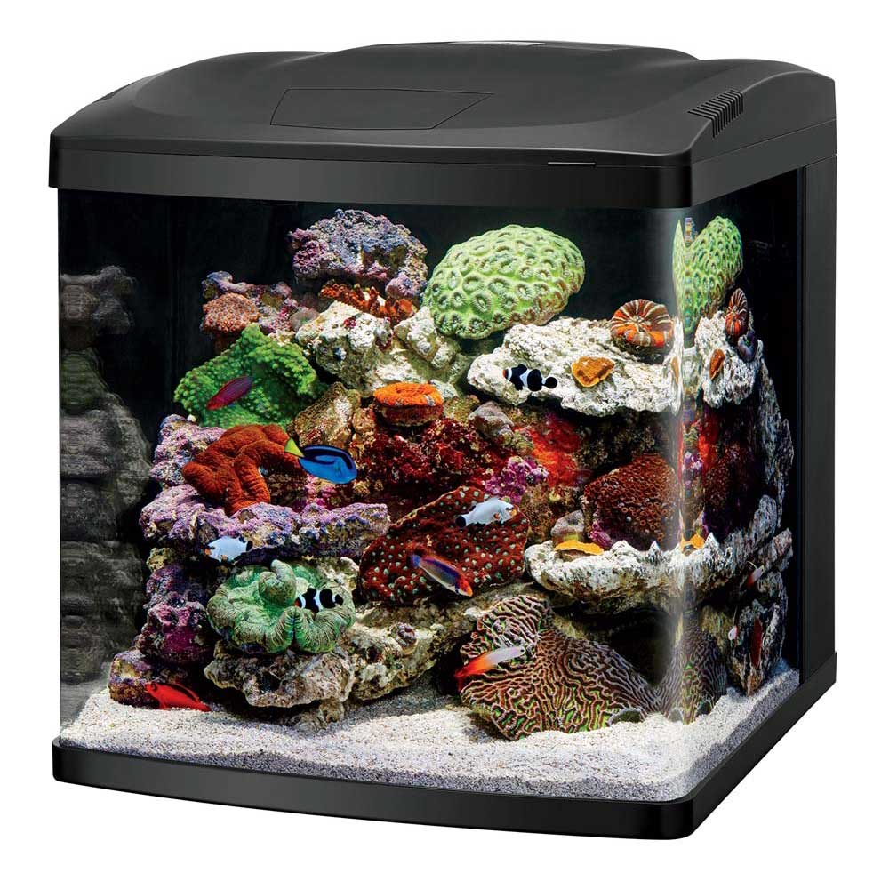 Coralife BioCube 32 LED