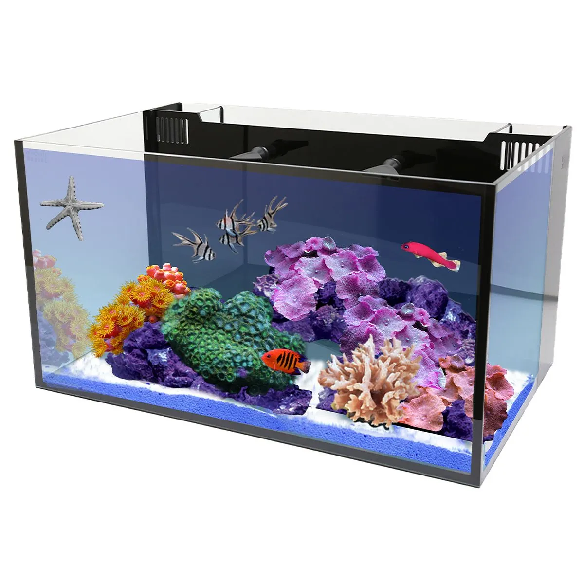 Innovative Marine 20 NUVO Fusion AIO Long