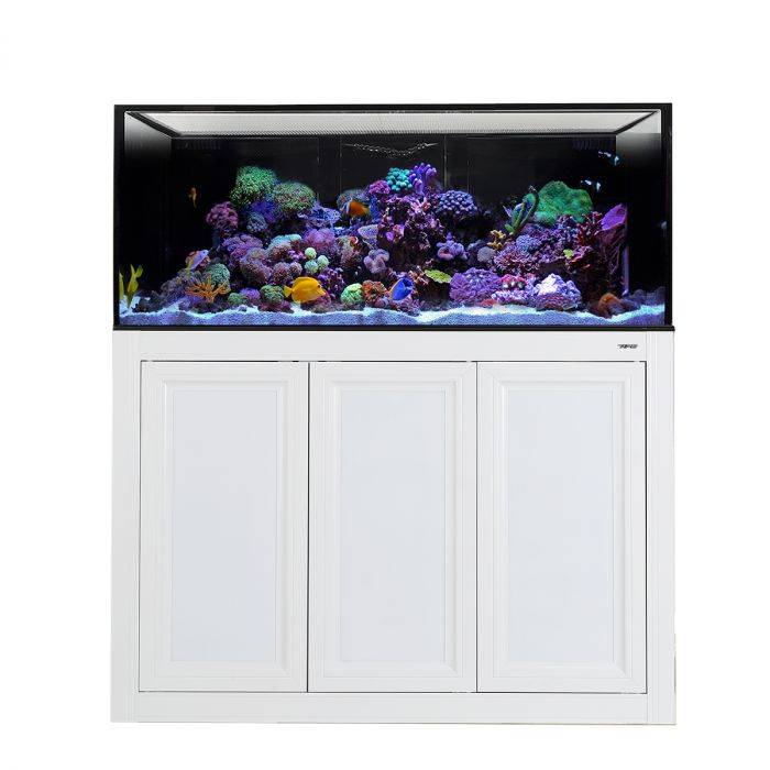 Innovative Marine NUVO INT 100
