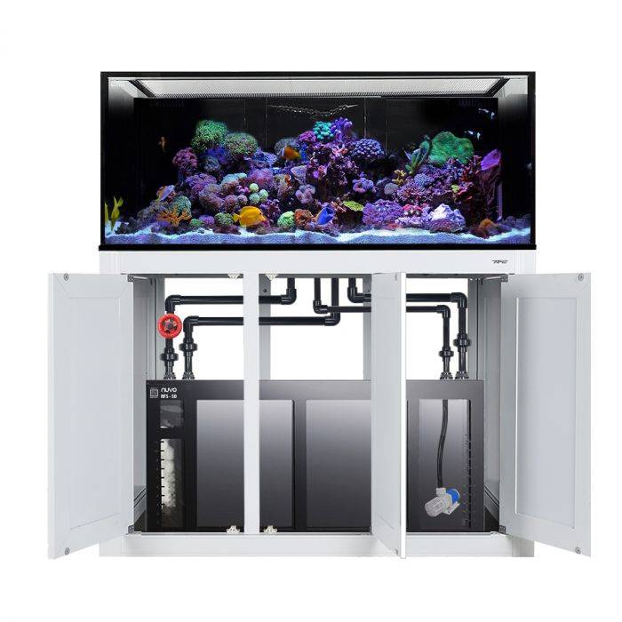 Innovative Marine NUVO INT 170