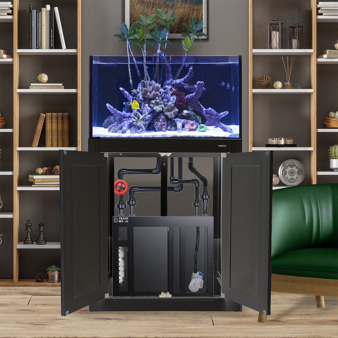 Innovative Marine NUVO INT 50