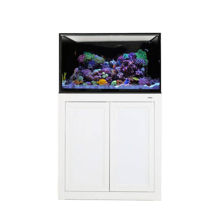 Innovative Marine NUVO INT 75