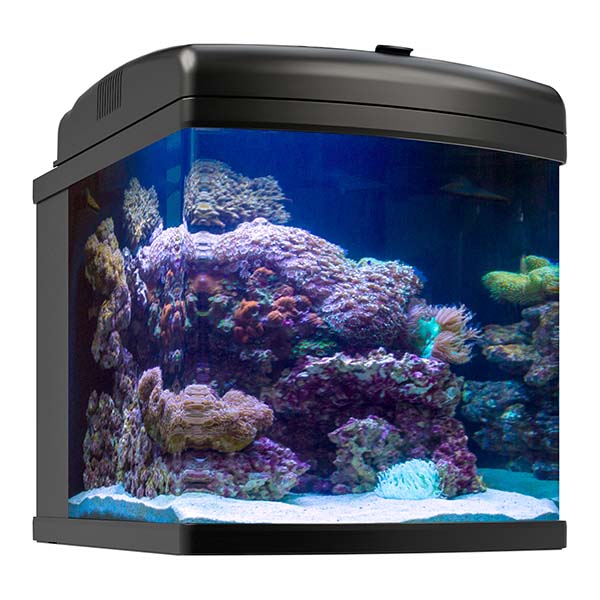 JBJ Nano Cube WiFi 28 Gallon