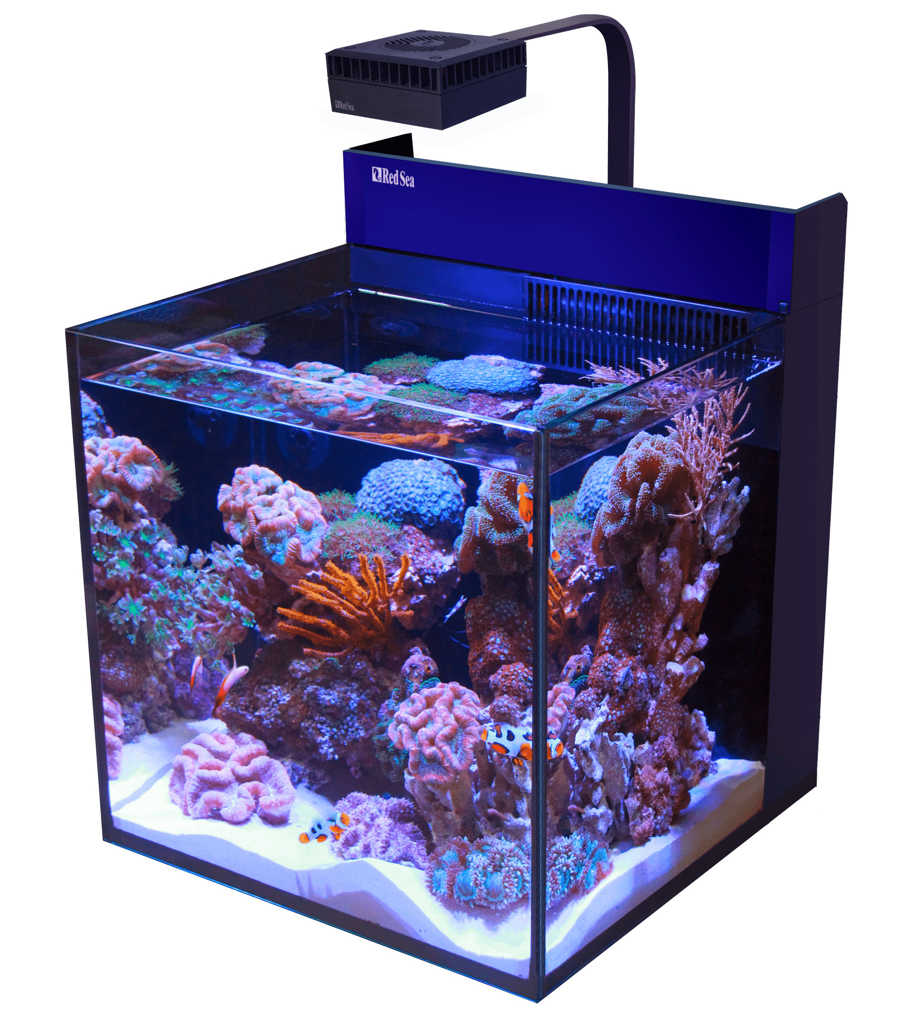 Red Sea Max Nano G2