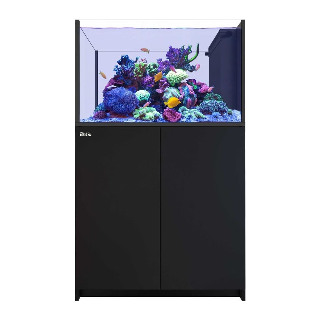 Red Sea REEFER Peninsula 350 G3