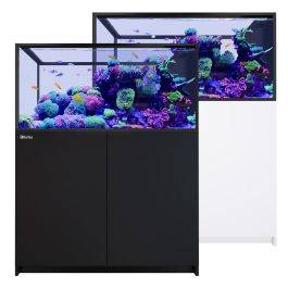 Red Sea REEFER Peninsula 500 G3