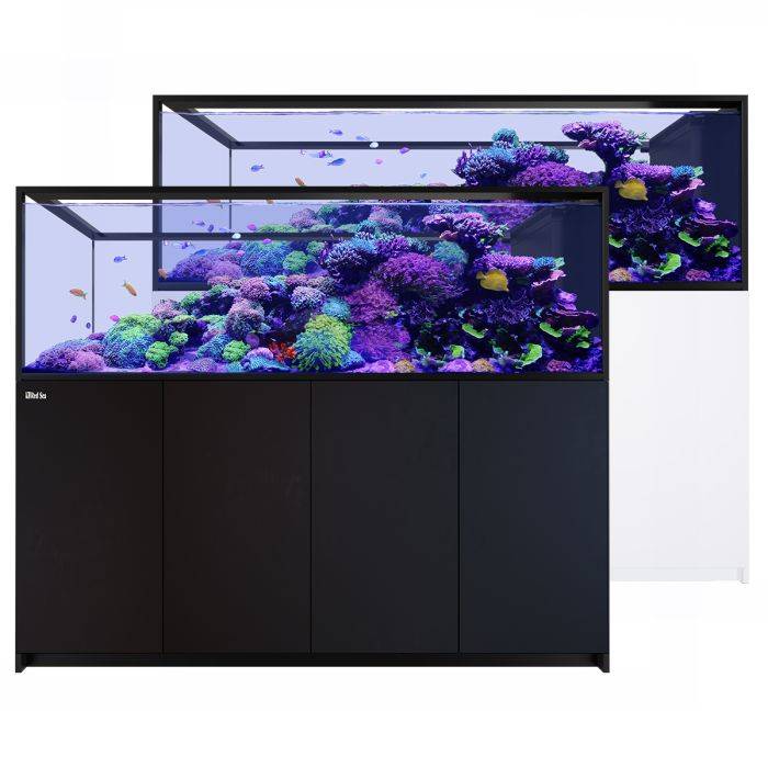 Red Sea REEFER Peninsula S-950 G3