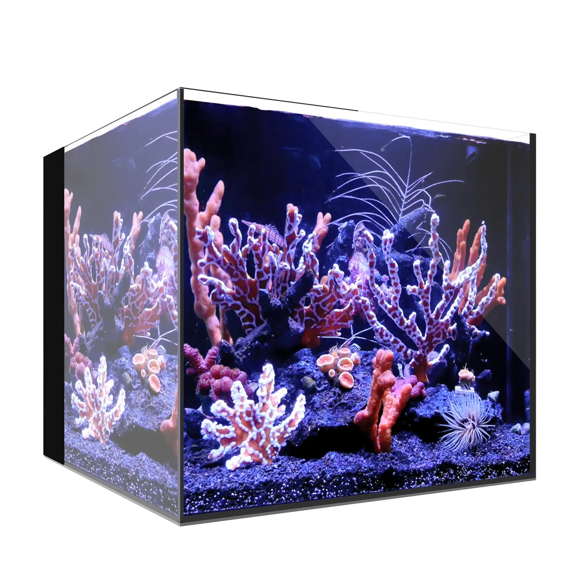 Waterbox AIO 20 Cube
