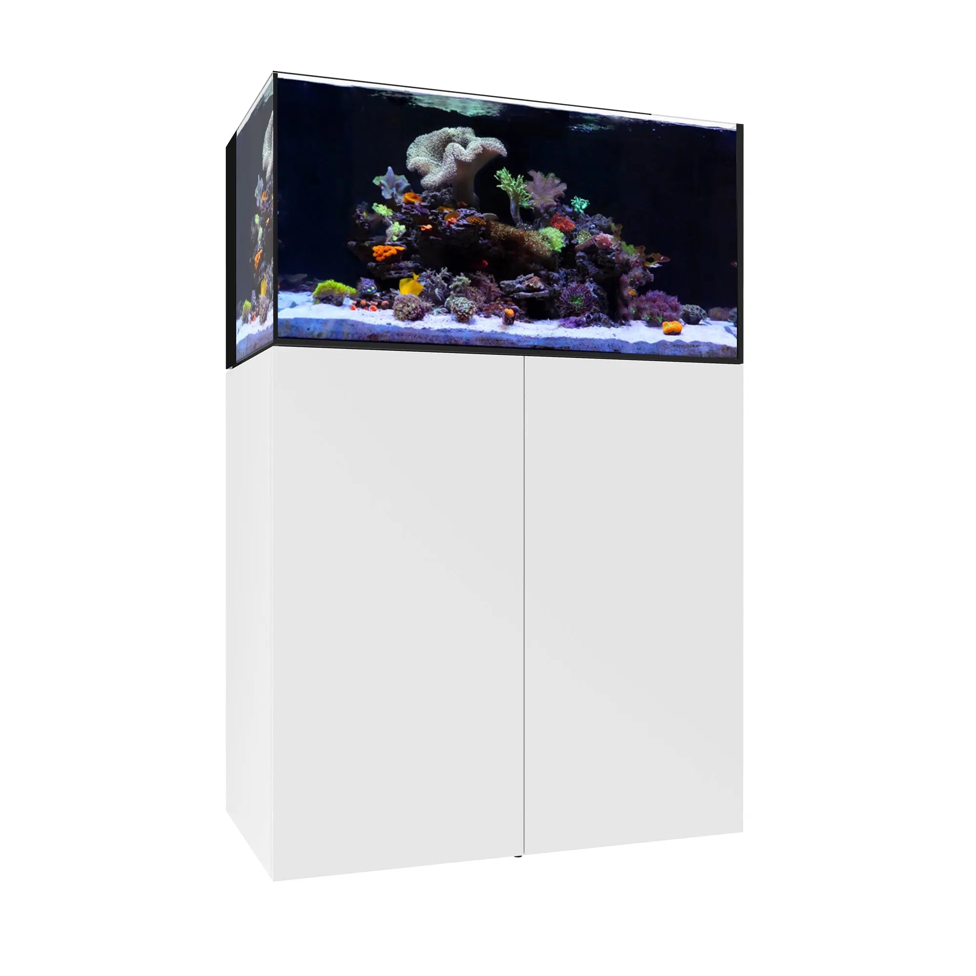 Waterbox AIO 50.3