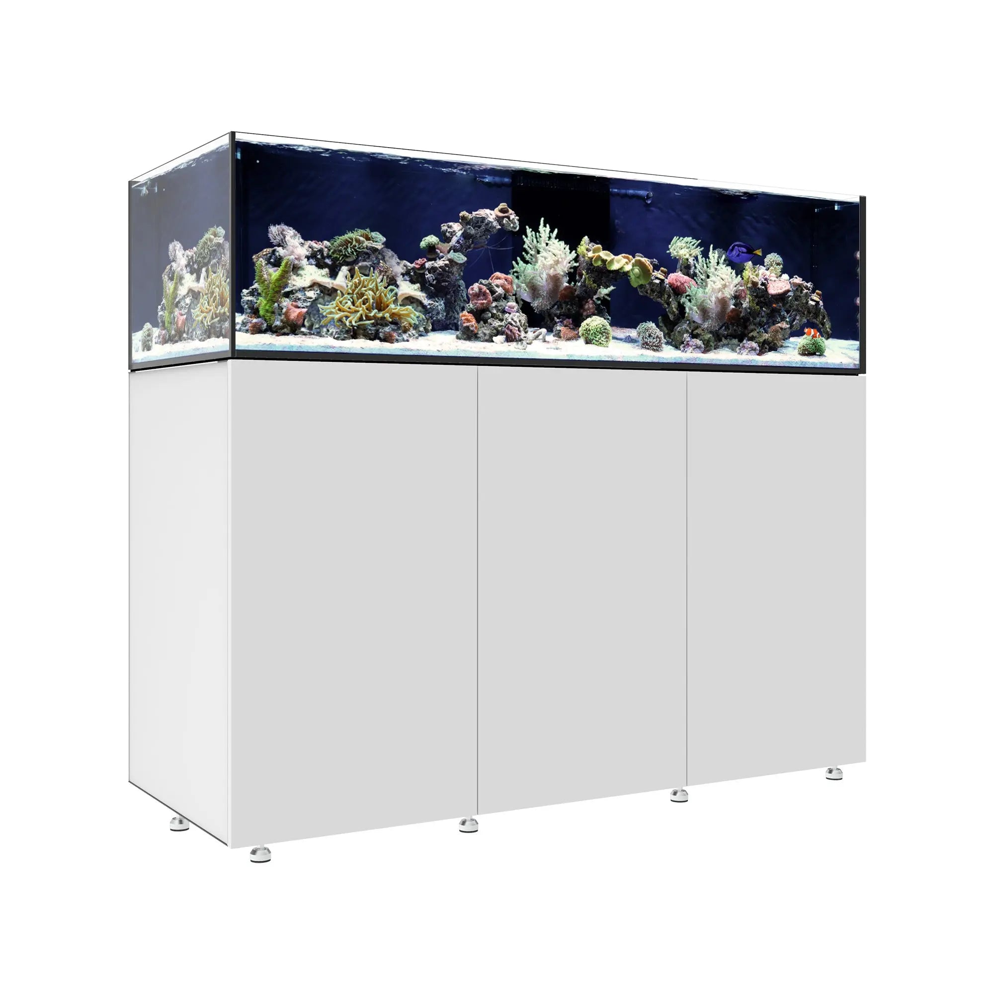 Waterbox INFINIA Frag 155.5