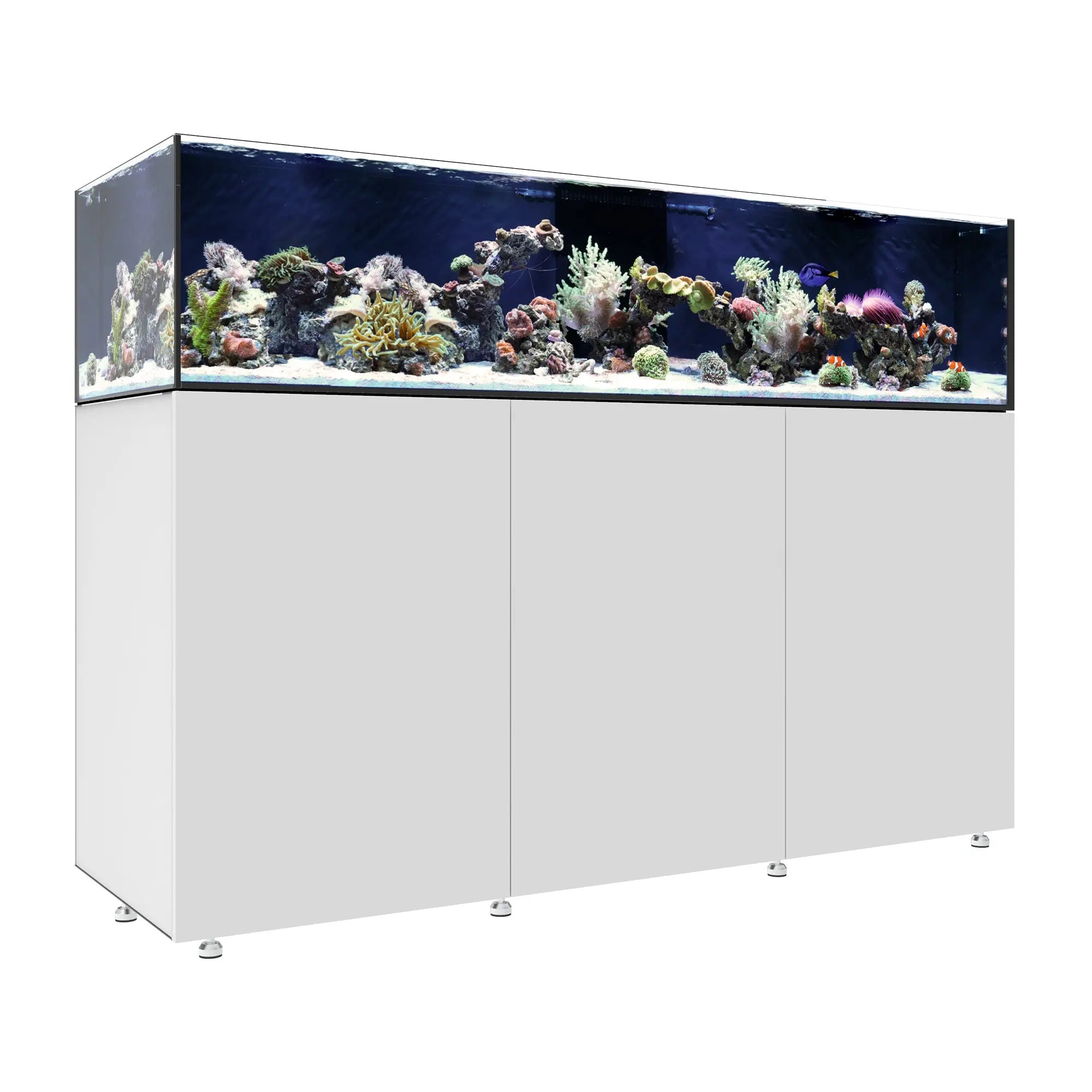 Waterbox INFINIA Frag 175.6
